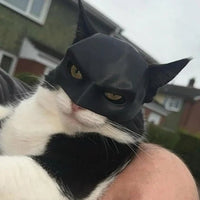 BatCat Maske™ - Das Original von WAAGEMANN - Waagemann