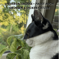 BatCat Maske™ - Das Original von WAAGEMANN - Waagemann