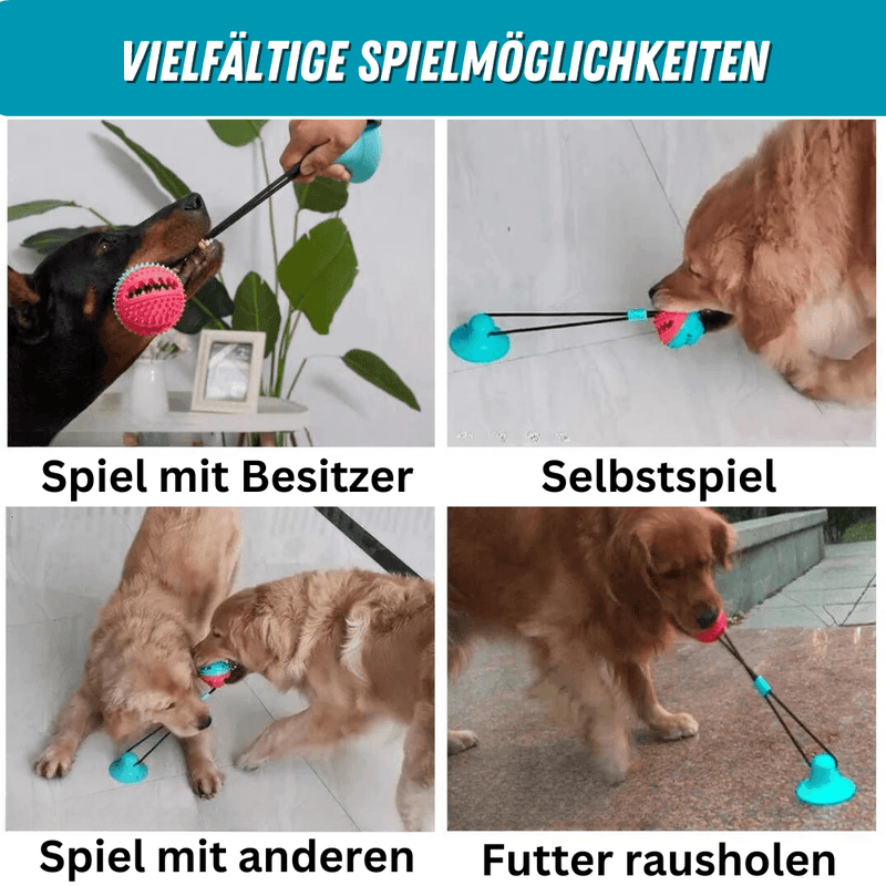 products/5-in-1-multifunktionales-hunde-saugnapf-spielzeug-trainer-801668.png