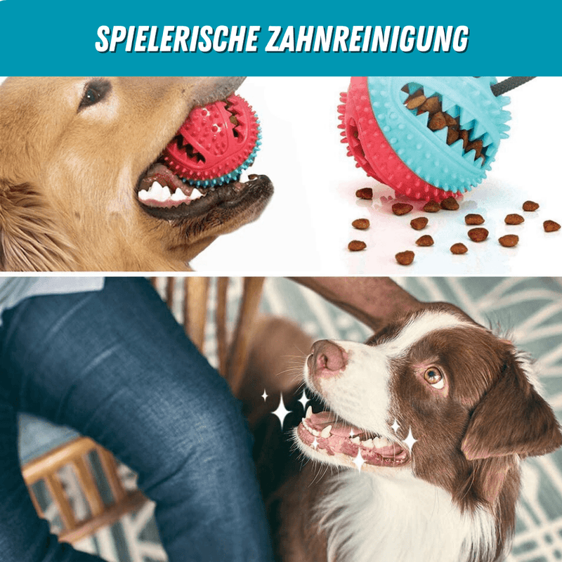 products/5-in-1-multifunktionales-hunde-saugnapf-spielzeug-trainer-883701.png