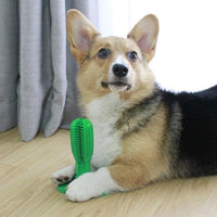 Hunde-Zahnbürstenspielzeug - Waagemann