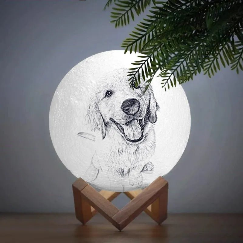 files/personalisierte-3d-foto-mondlampe-das-original-von-waagemann-1477003.webp