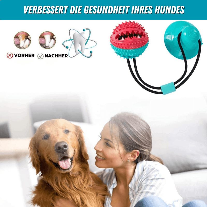 products/5-in-1-multifunktionales-hunde-saugnapf-spielzeug-trainer-110428.png
