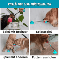 5 IN 1 Multifunktionales Hunde-Saugnapf-Spielzeug & Trainer - Waagemann