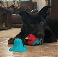 5 IN 1 Multifunktionales Hunde-Saugnapf-Spielzeug & Trainer