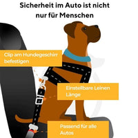 Auto-Sicherheitsgurt für Hunde (STVO Konform) - Waagemann