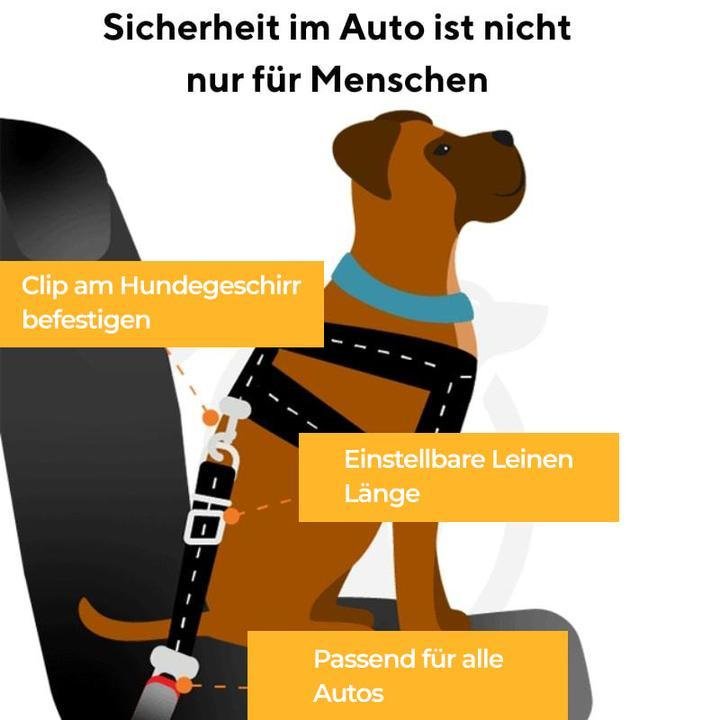 Auto-Sicherheitsgurt für Hunde (STVO Konform) – Waagemann