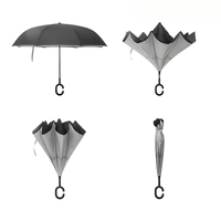 Der Invertierte Regenschirm - Waagemann