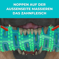 Grosser Hundeknochen & Zahnbürste - Waagemann