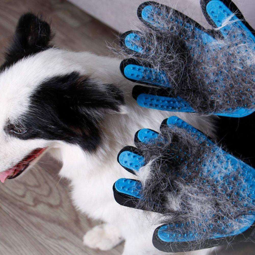 Haustier Fellpflege Enthaarungs & Pflegehandschuhe – Waagemann