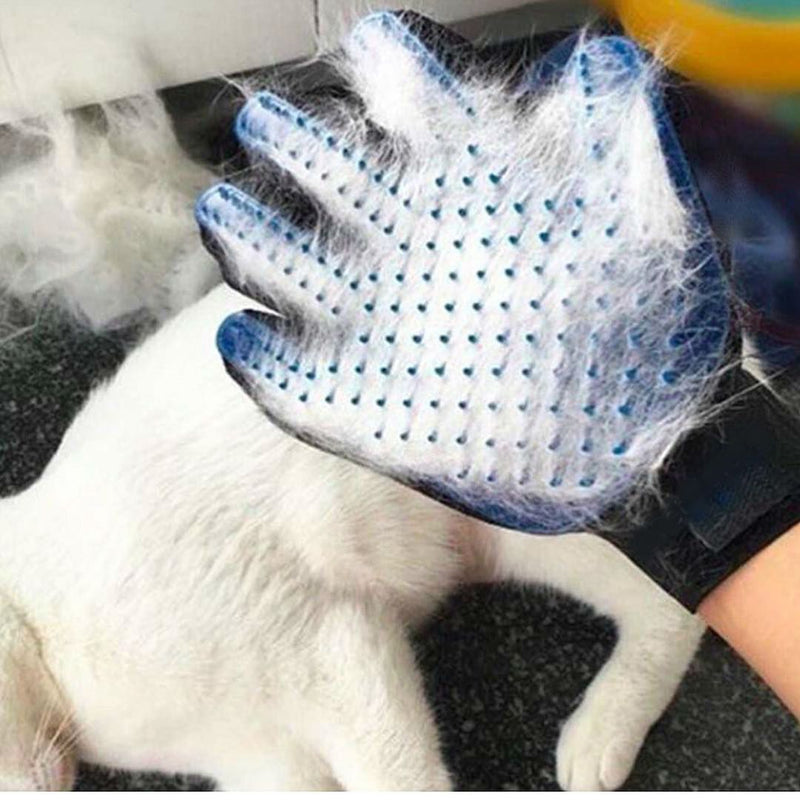 haar handschuh für katzen Haustier Fellpflege Enthaarungs & Pflegehandschuhe – Waagemann