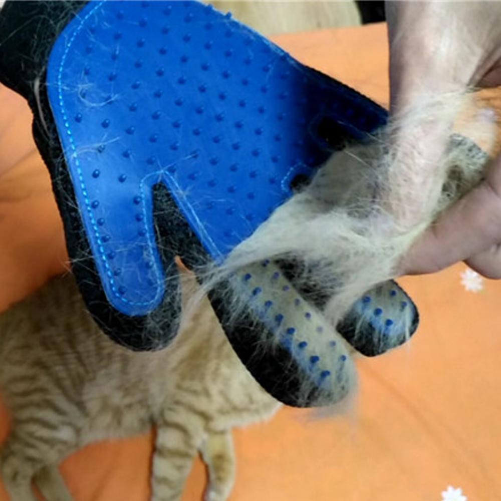 haar handschuh für katzen Haustier Fellpflege Enthaarungs & Pflegehandschuhe – Waagemann