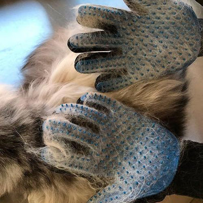 Haustier Fellpflege Enthaarungs & Pflegehandschuhe – Waagemann