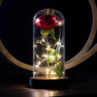 Lichterzauber Rose in Glas - Waagemann