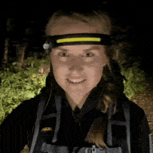 products/striplight-pro-2-240848.gif